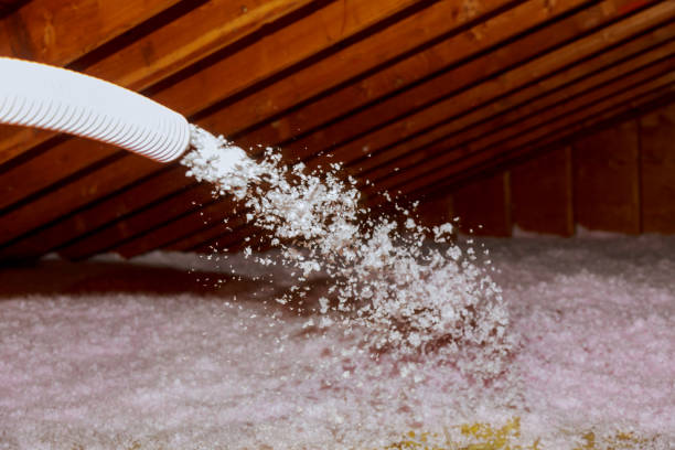Types of Insulation We Offer in Upper Grand Lagoon, FL
