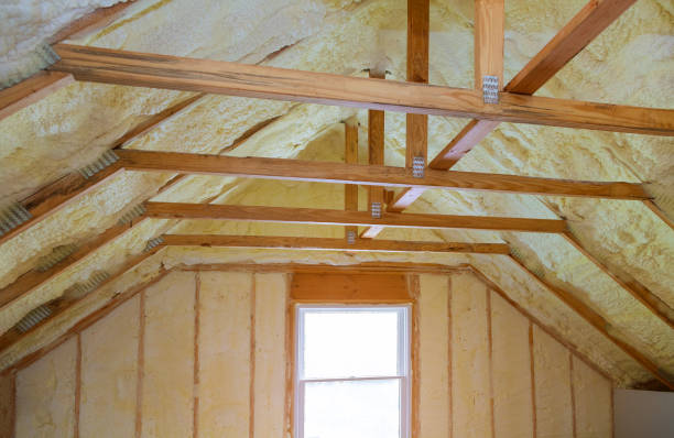 Professional Insulation Contractor in Upper Grand Lagoon, FL