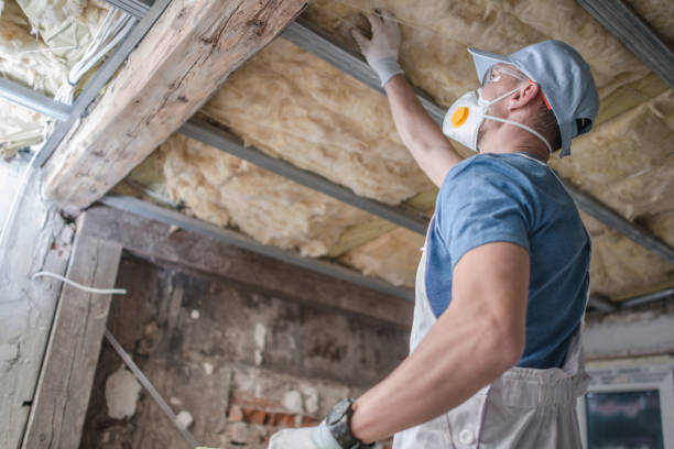Best Insulation for Specific Applications in Upper Grand Lagoon, FL