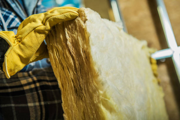 Best Blown-in Insulation in Upper Grand Lagoon, FL
